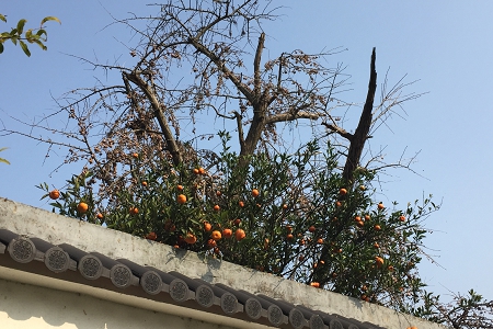 ���°溆�δ��Ĺ�˾���Q��ȫ