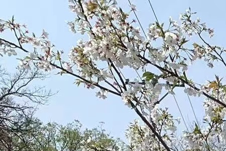 �� �����y��˾����