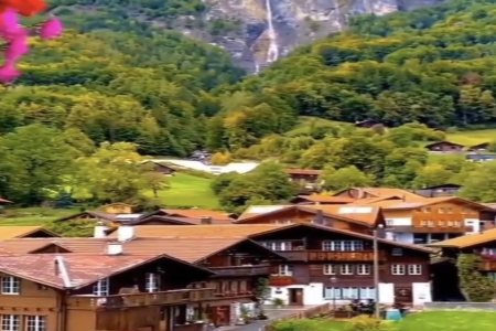 ��܇�N�����޹�˾ȡ��