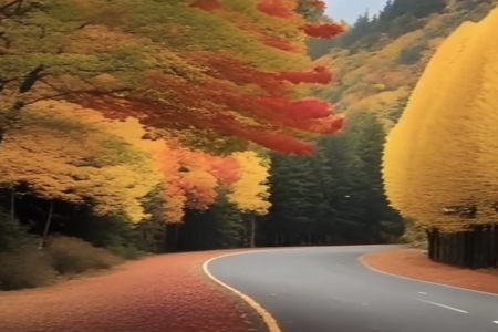 �����b������޹�˾�������