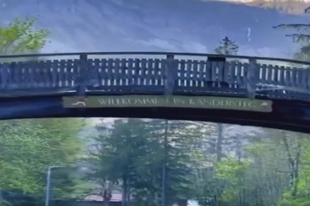 2025�����¹�˾ȡ������